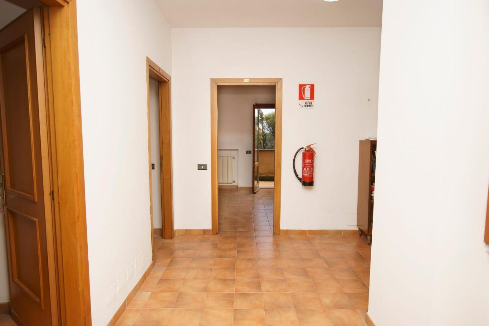 Due Leoni